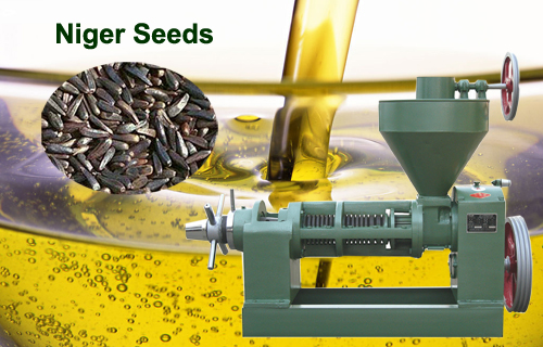 Niger Seed Oil Processing Niger Seed Oil Extraction Machine