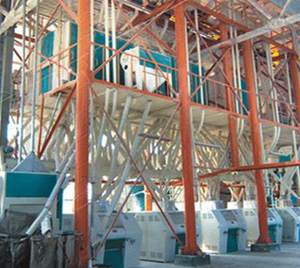 200T flour mill installation