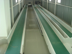 fixed belt conveyor-1