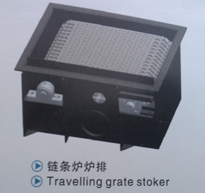 travelling grate stoker